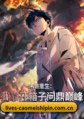 全域布局